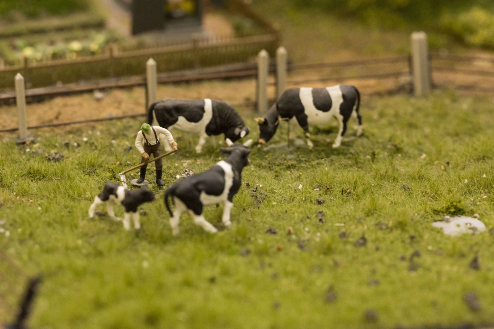 香山牧場,新竹鮮奶配送